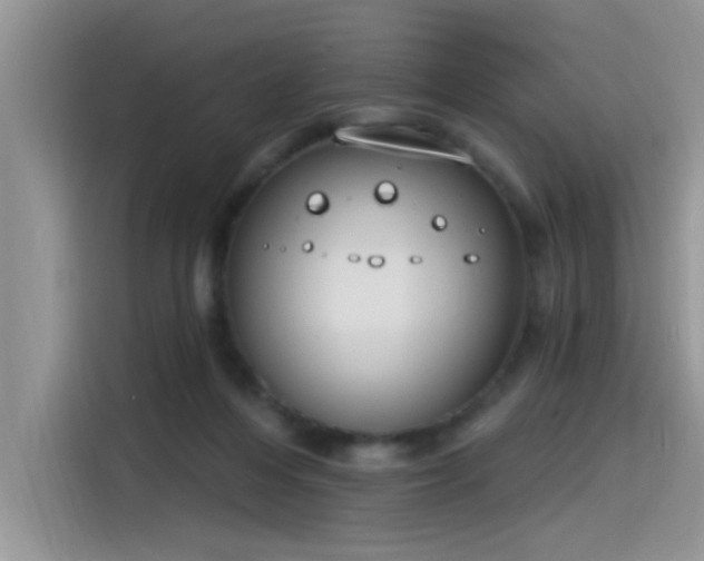 X0000115630216200911171342