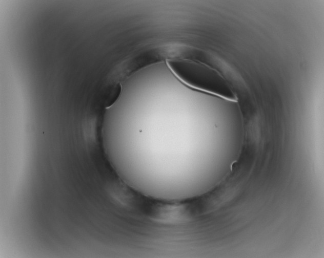 X0000115630217200911171342