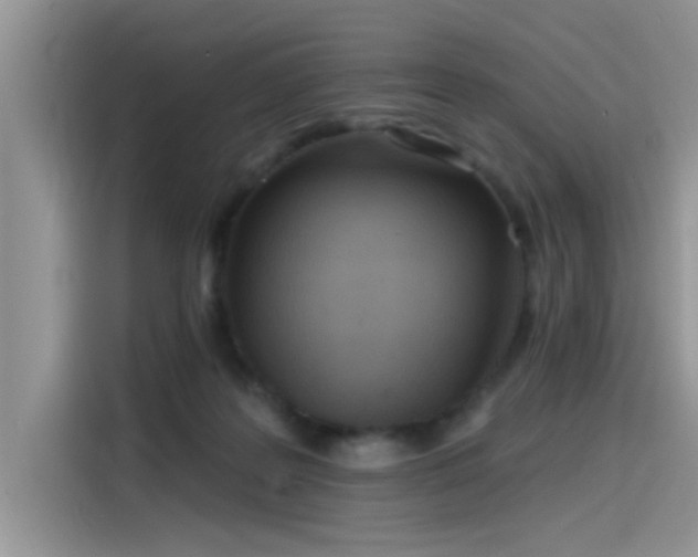 X0000115630219200911171342