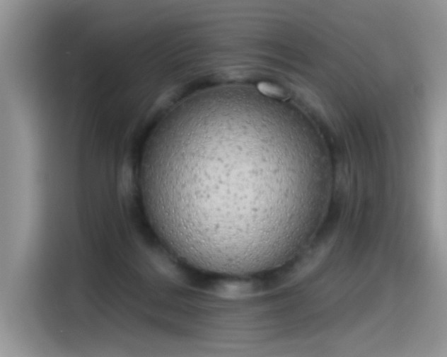 X0000115630220200911171342