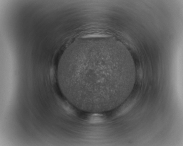 X0000115630222200911171342