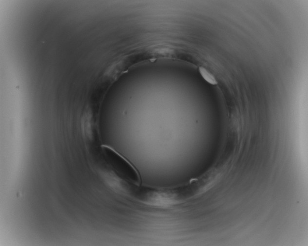 X0000115630223200911171342