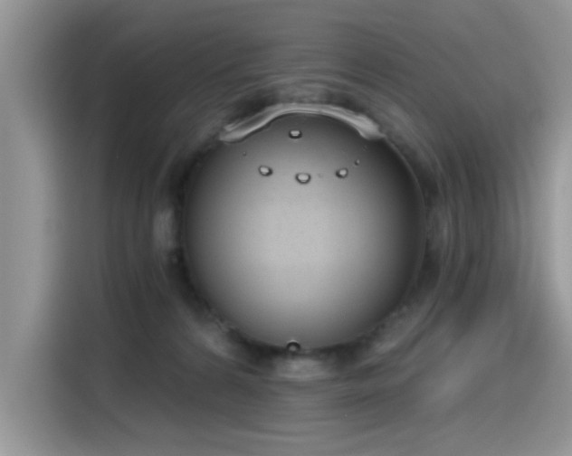 X0000115630224200911171342