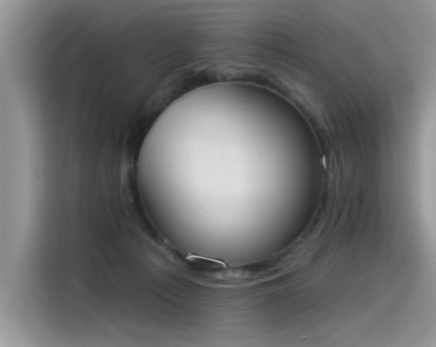 X0000115630225200911171342