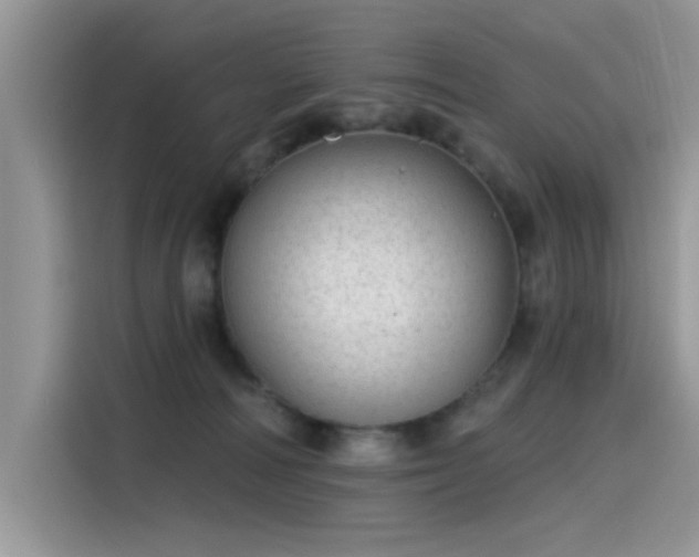 X0000115630226200911171342