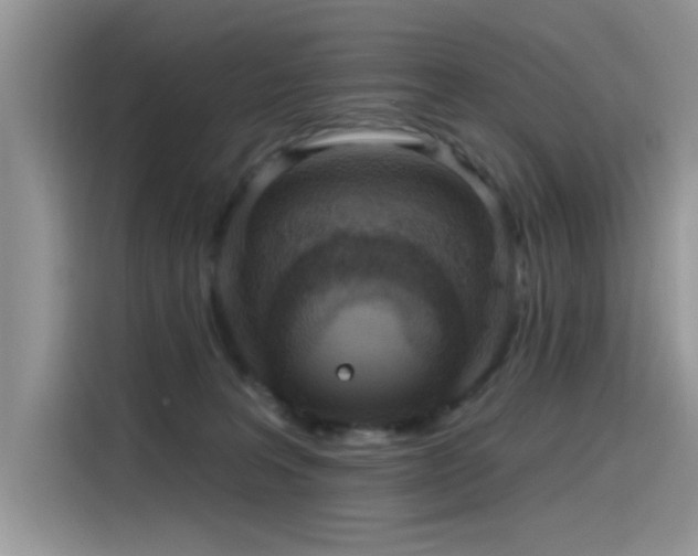 X0000115630227200911171342