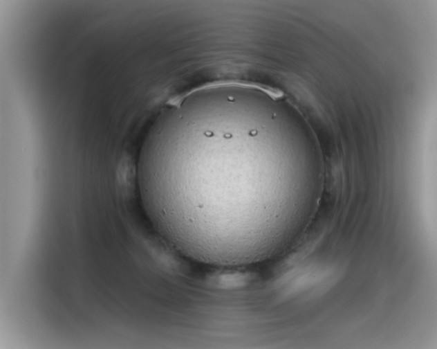 X0000115630228200911171342