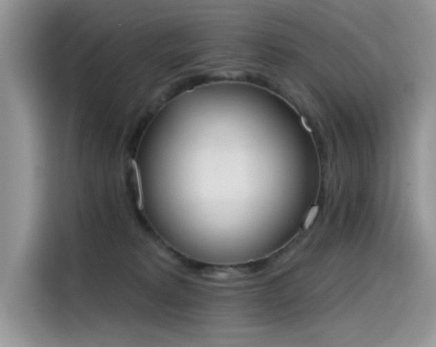 X0000115630229200911171342