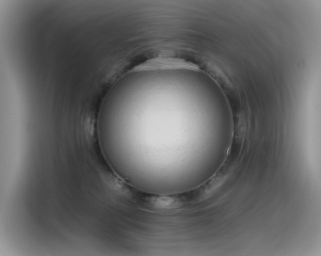 X0000115630230200911171342