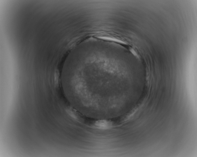 X0000115630231200911171342