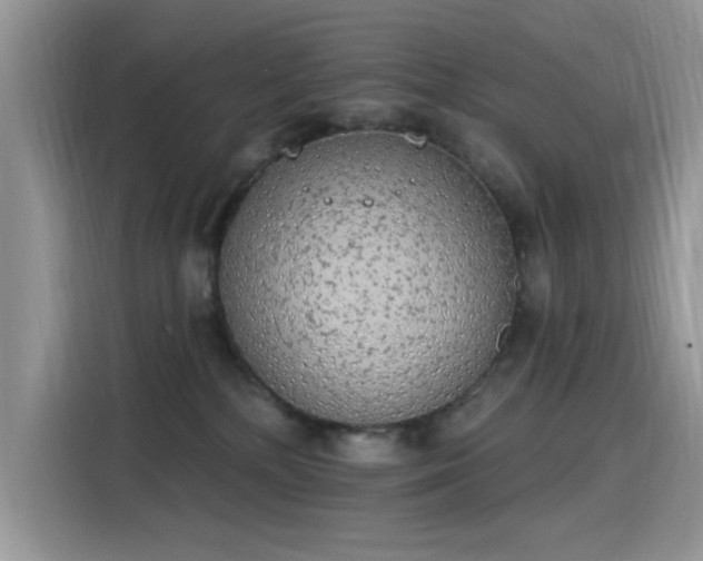 X0000115630232200911171342