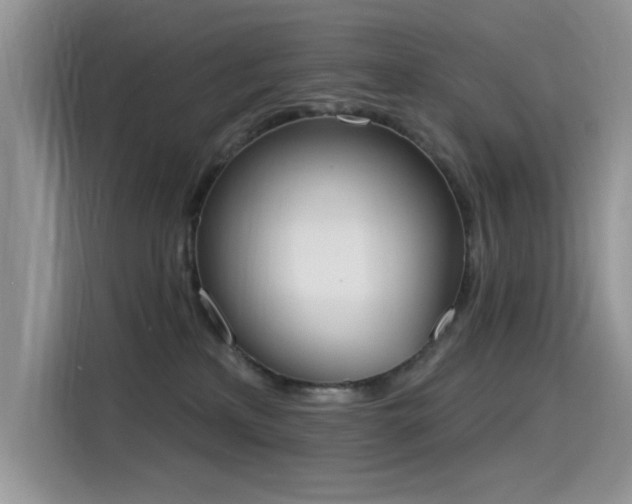 X0000115630233200911171342