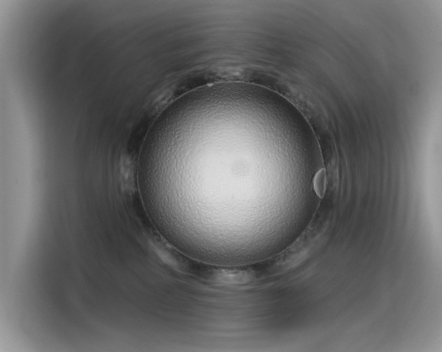 X0000115630234200911171342