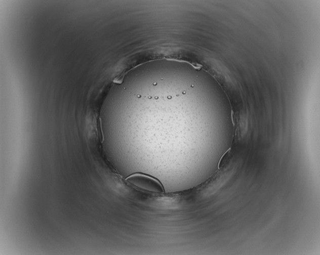 X0000115630236200911171342