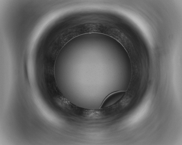 X0000115630239200911171342