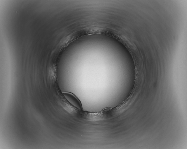 X0000115630240200911171342