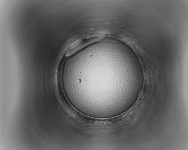 X0000115630242200911171341