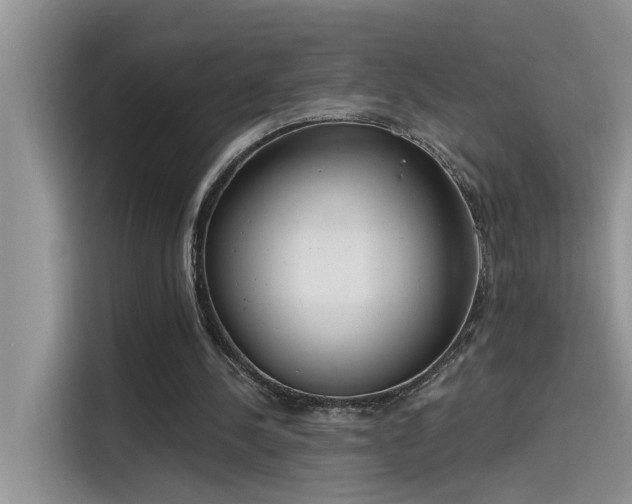 X0000115630244200911171341