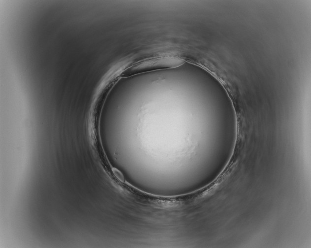 X0000115630245200911171341