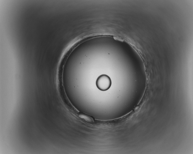 X0000115630248200911171341