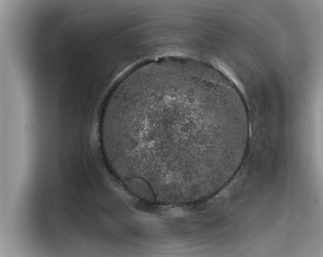 X0000115630249200911171341