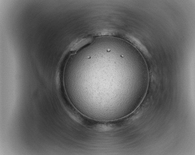 X0000115630250200911171341