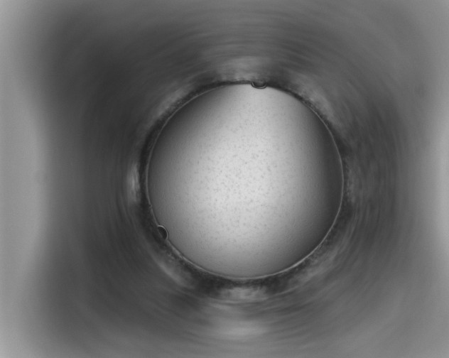 X0000115630251200911171341