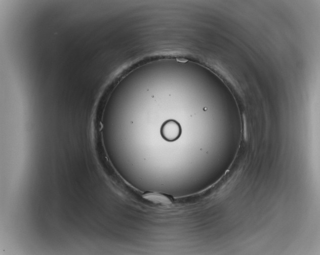 X0000115630252200911171341