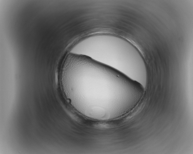 X0000115630253200911171341