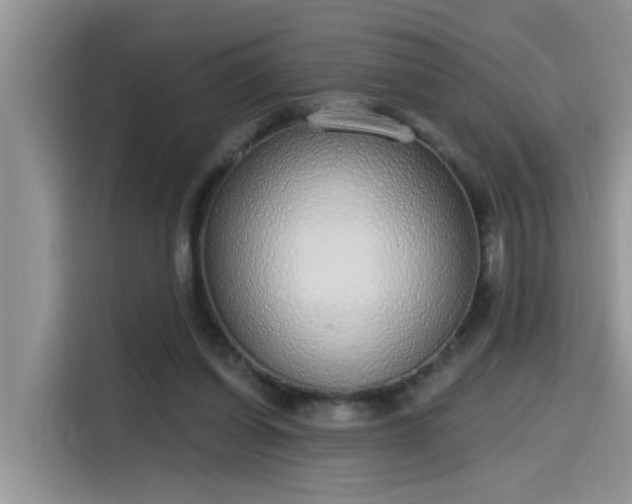 X0000115630254200911171341