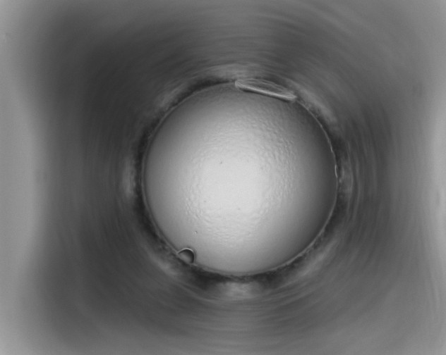 X0000115630255200911171341