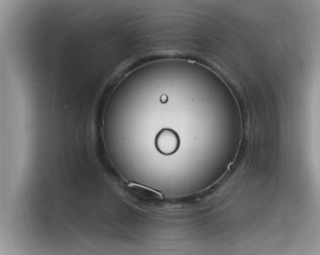 X0000115630256200911171341