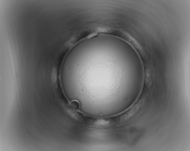 X0000115630257200911171342