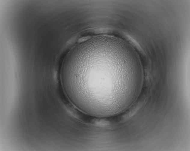 X0000115630258200911171342