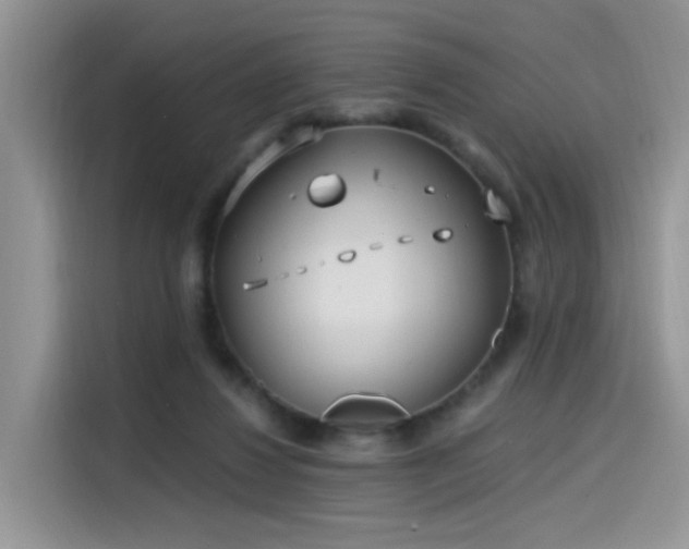 X0000115630260200911171342