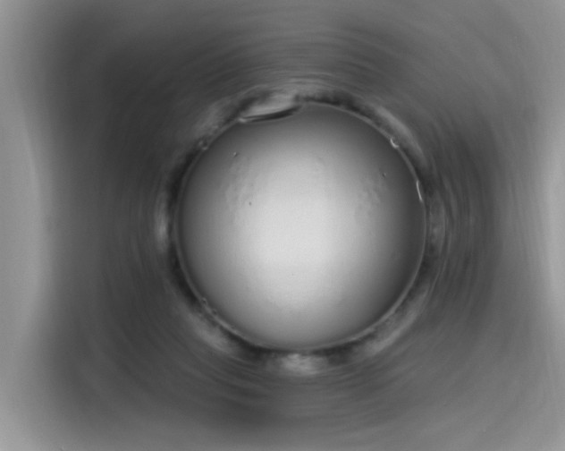 X0000115630261200911171342