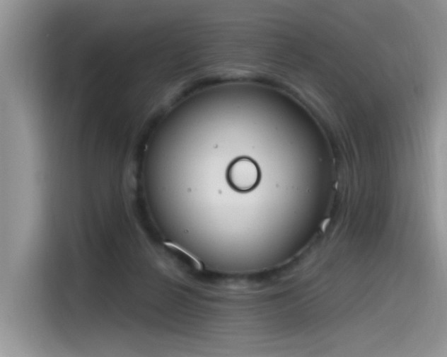 X0000115630264200911171342