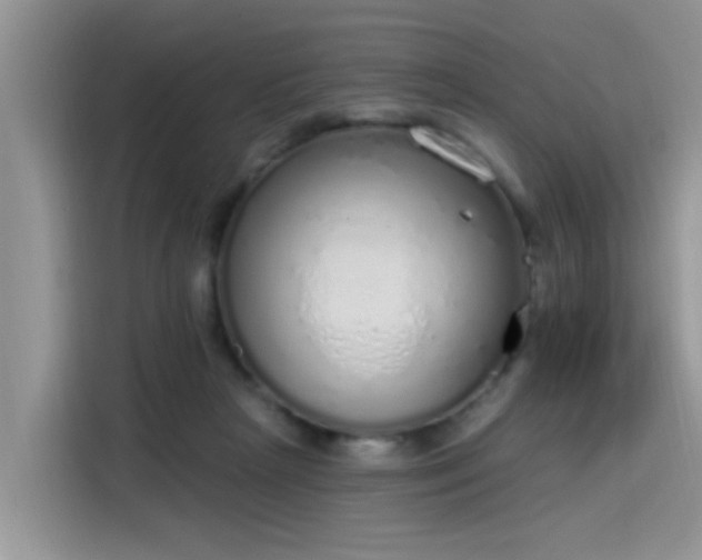 X0000115630265200911171342