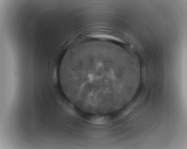 X0000115630267200911171342