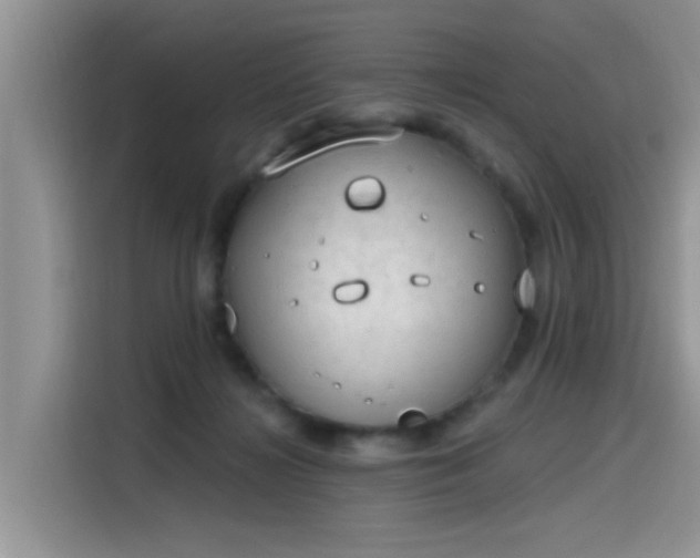 X0000115630268200911171342