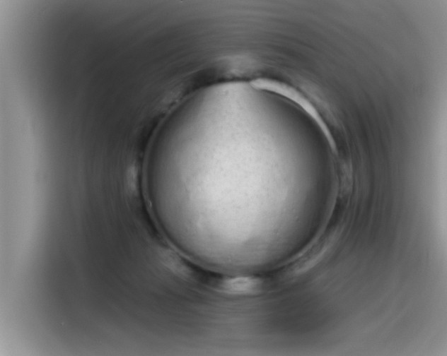 X0000115630269200911171342