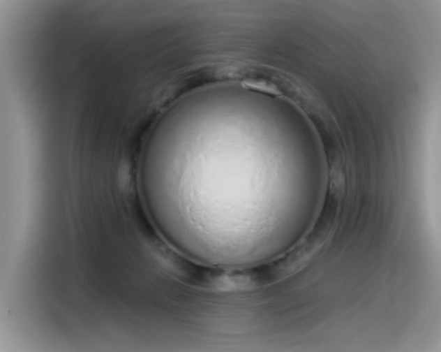 X0000115630270200911171342