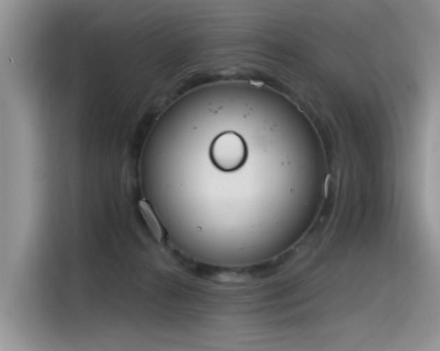 X0000115630272200911171342