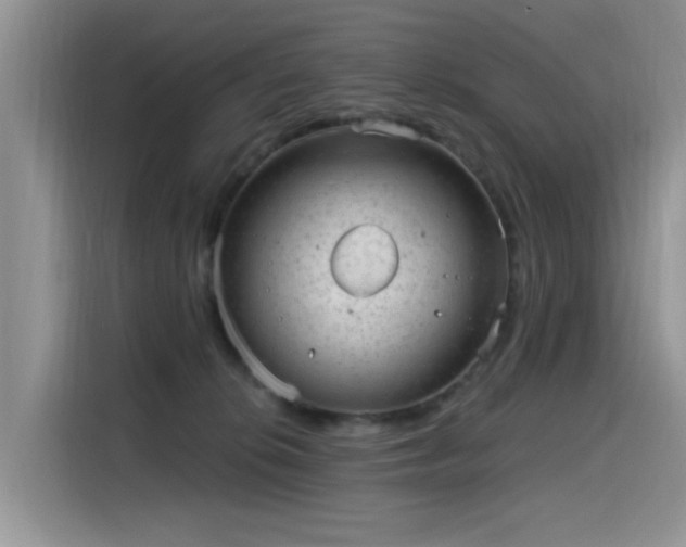 X0000115630276200911171342