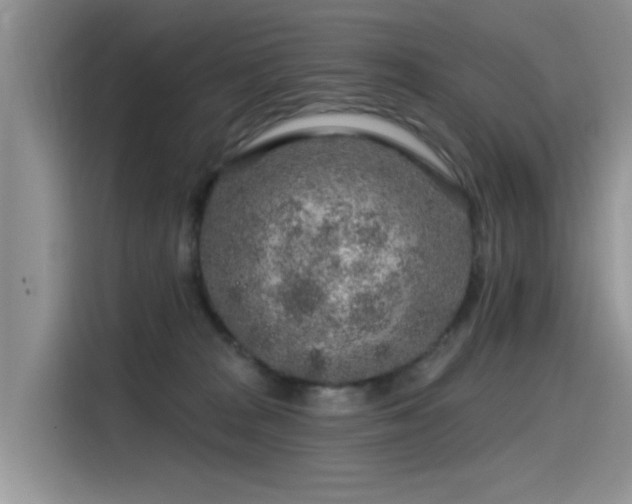 X0000115630277200911171342