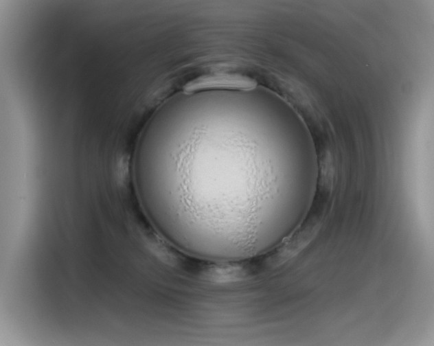 X0000115630278200911171342