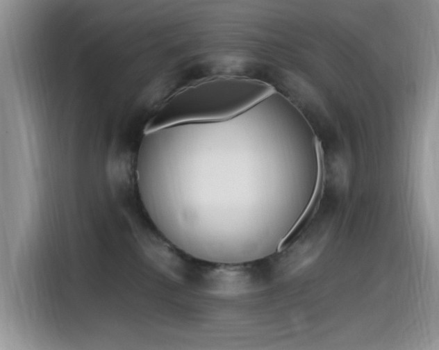 X0000115630280200911171342