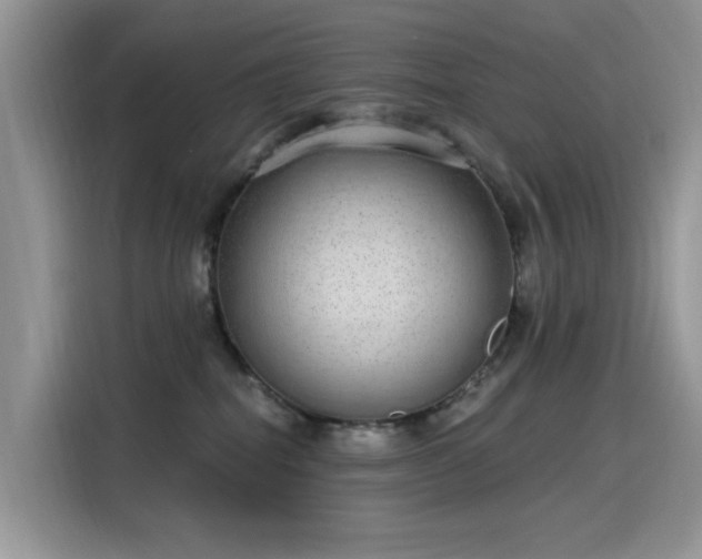 X0000115630282200911171342