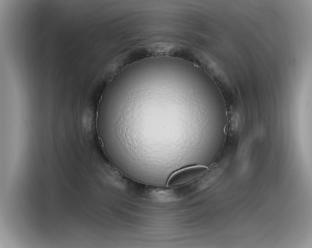 X0000115630283200911171342