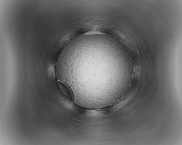 X0000115630286200911171342